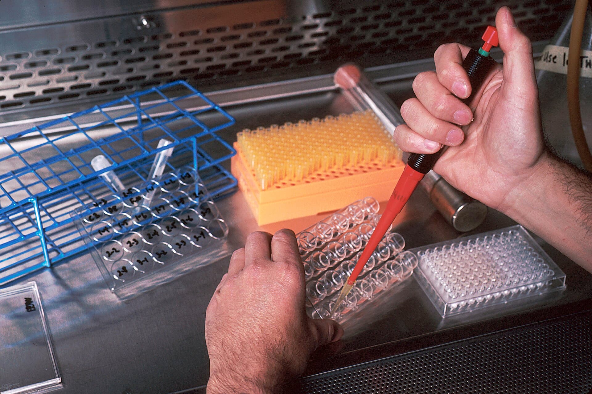 Hands pipetting samples into well plates at a laboratory bench