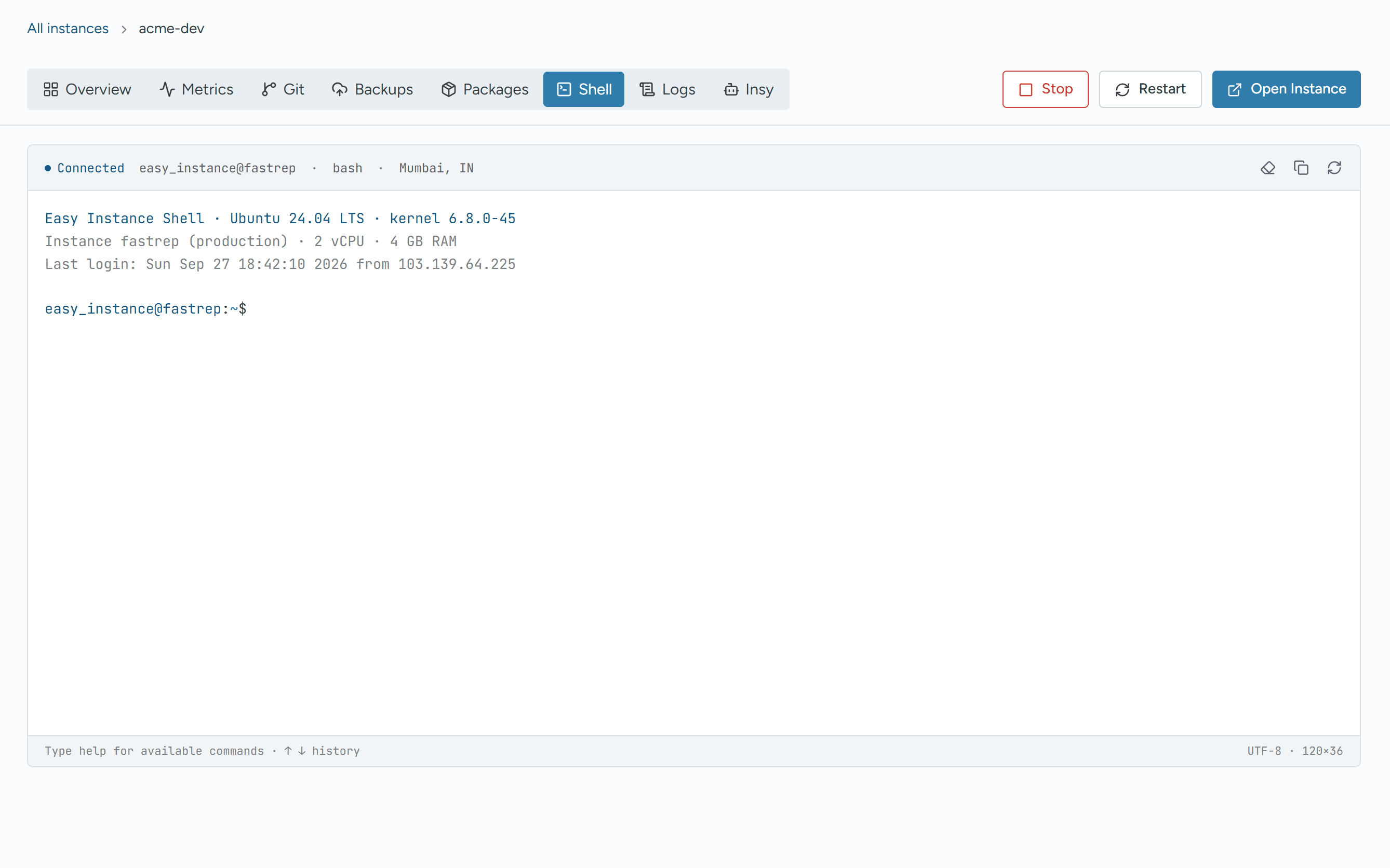 Browser terminal